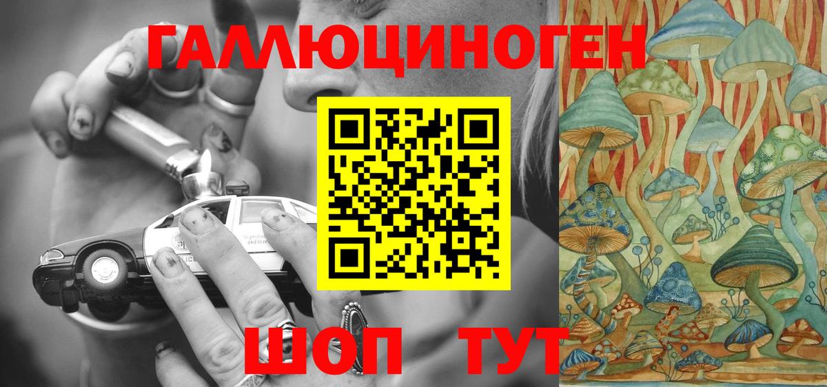 Галлюциногенные грибы Cubensis Десногорск